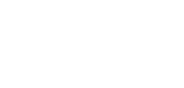 Budget Optical